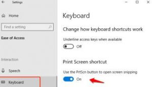 8 Ways to Fix Print Screen Not Working On Windows 11/10